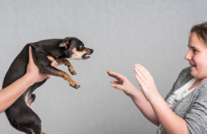 An owner holding a small dog scaring a victim.
