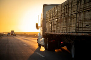 A large 18-wheeler drives down the road. Contact a Hampton 18-wheeler truck accident lawyer now.
