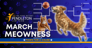 graphic of cat and dog playing basketball for march meowness charity contest